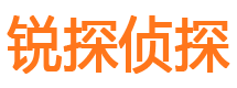 云龙市调查公司